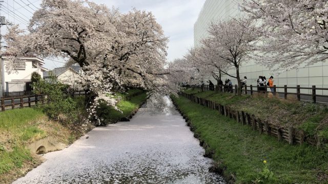 東京から「小江戸」川越1泊2日旅行(川越プリンスホテル宿泊)|ANA
